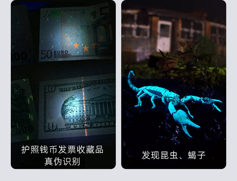 手電筒廠家